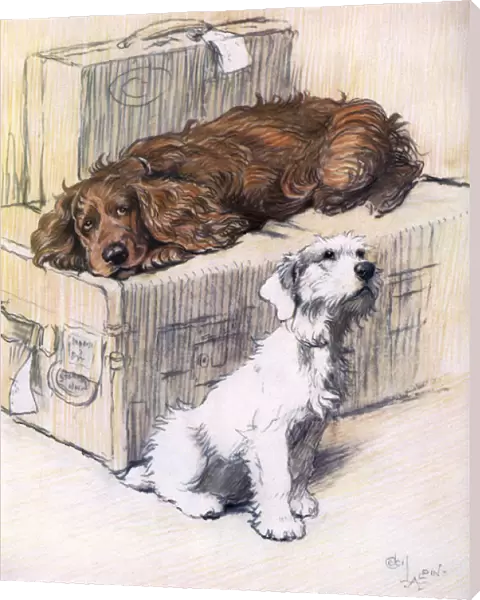 Can t We Come Too? by Cecil Aldin
