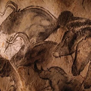 Popular Themes Fine Art Print Collection: Cave Paintings