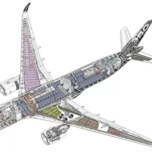 Popular Themes Jigsaw Puzzle Collection: Airbus Cutaway