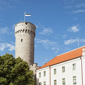 Estonia Collection: Palaces